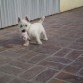mi jueguete preferido...la pelota de trapo!!